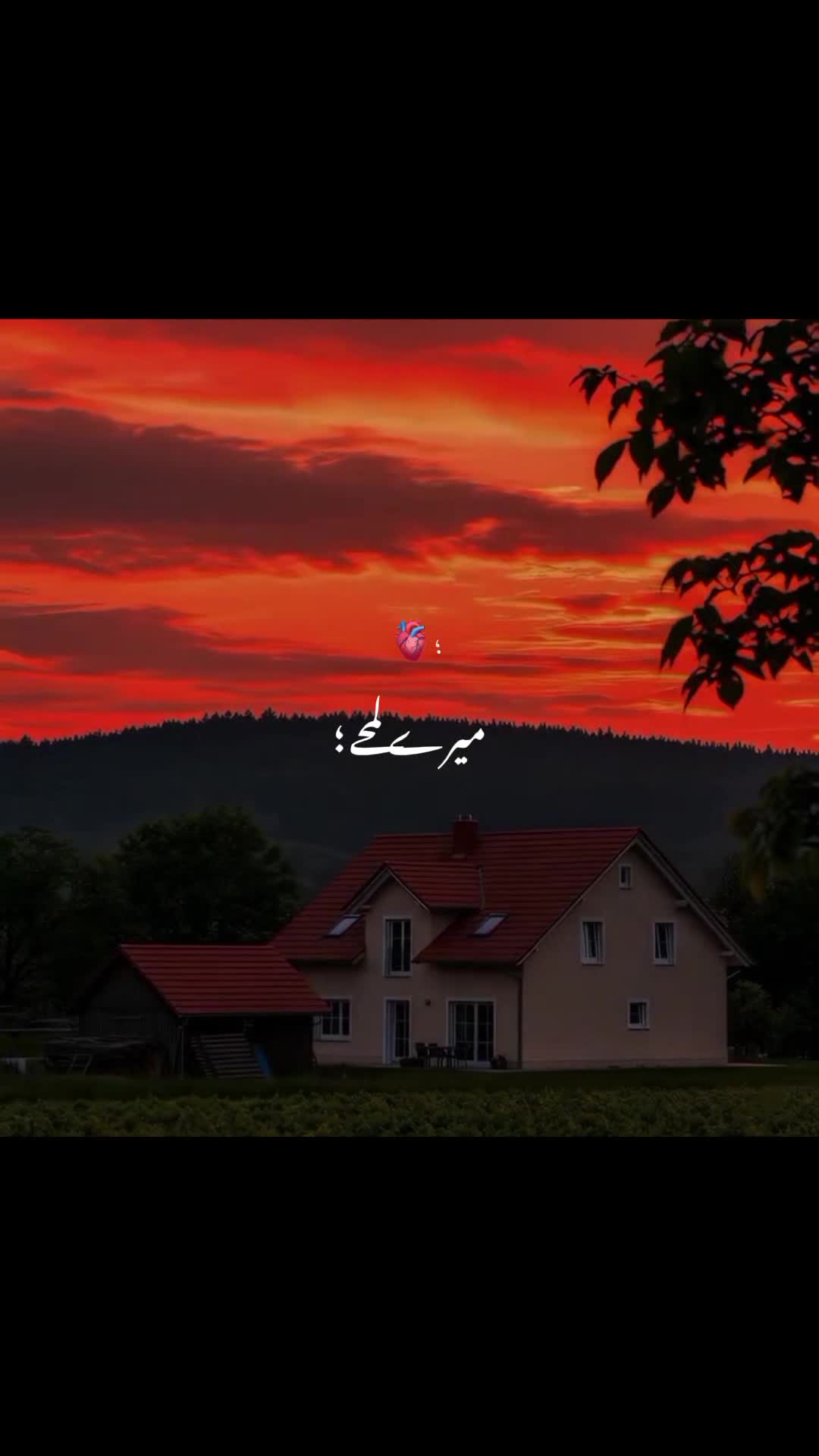 @𝐒－🕊