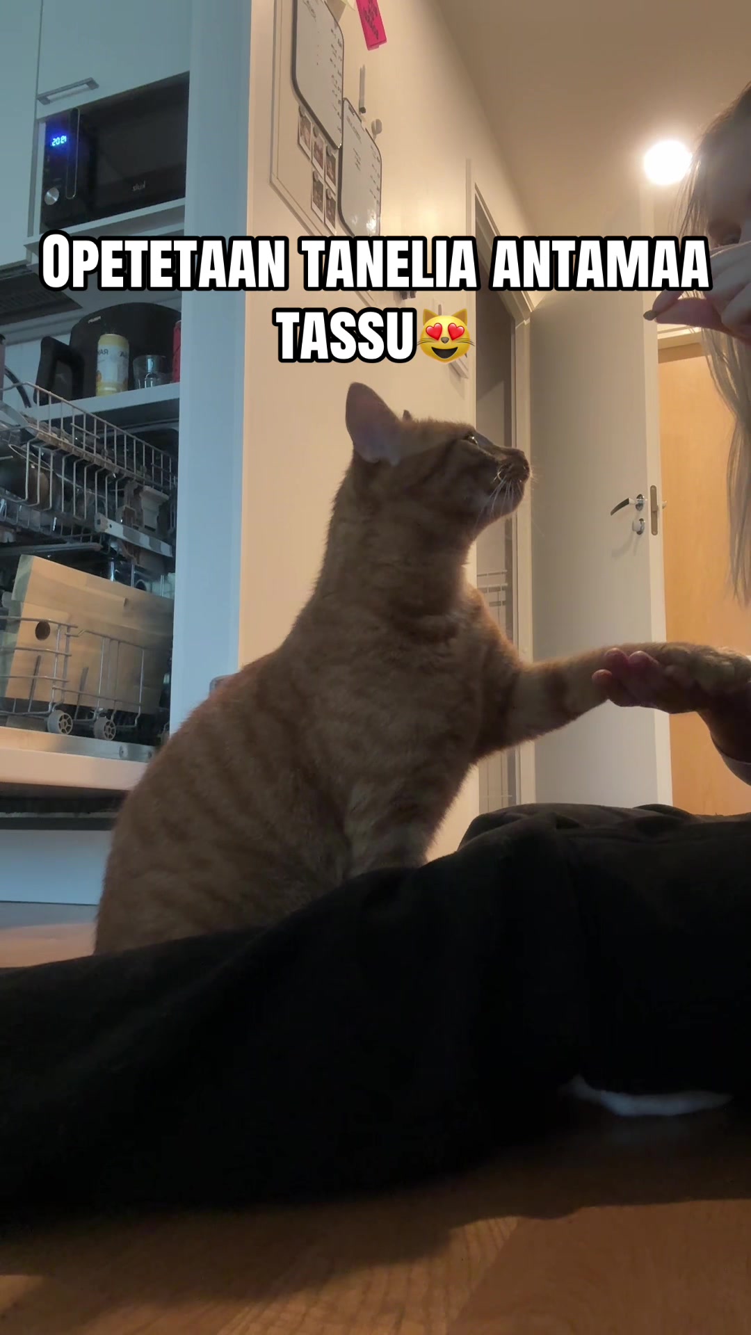 @Anni-Minni