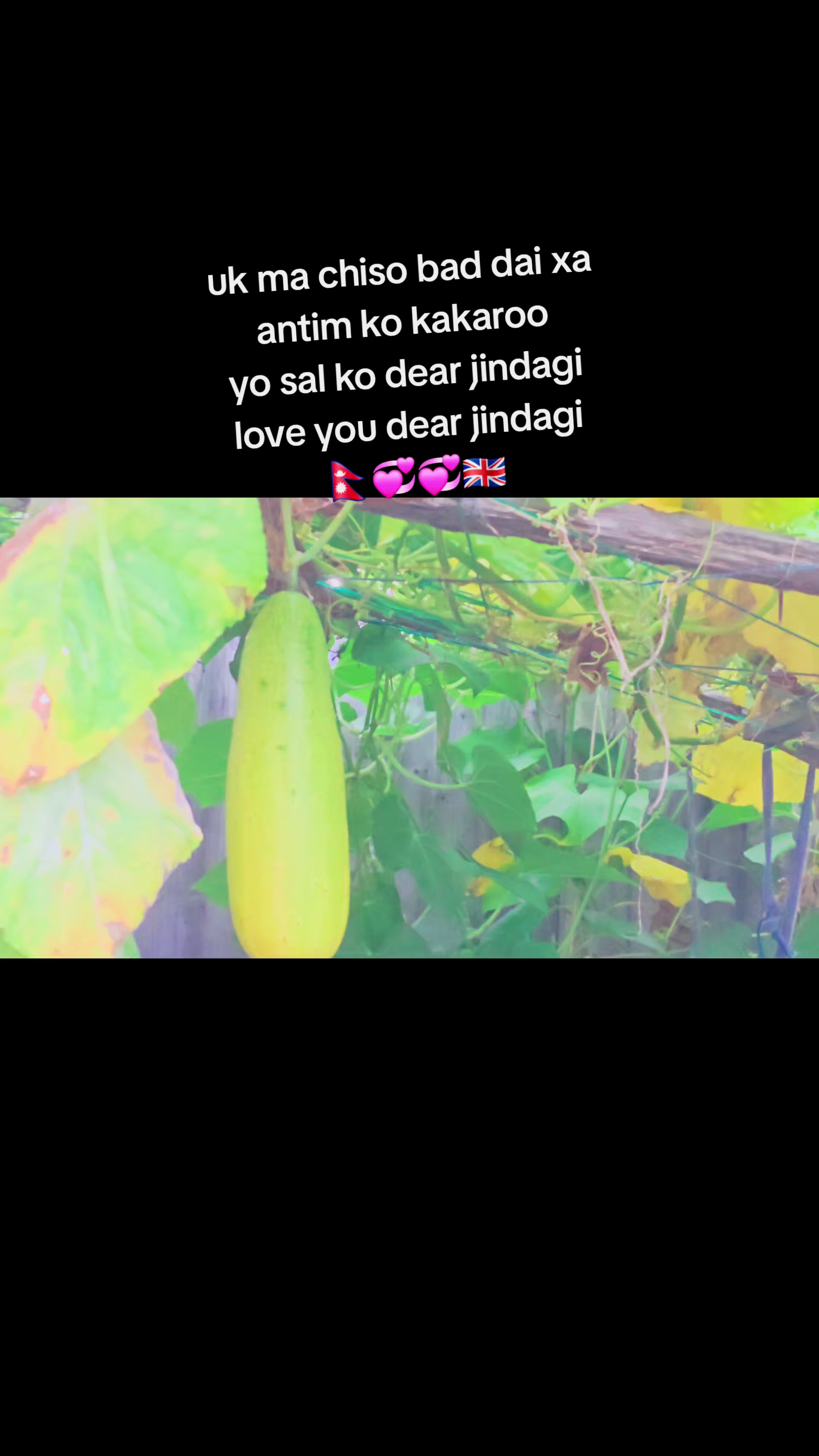@RanuAdhikariKunwar....