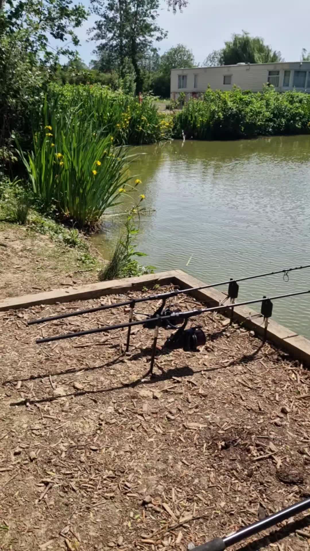 @Carpy Brez