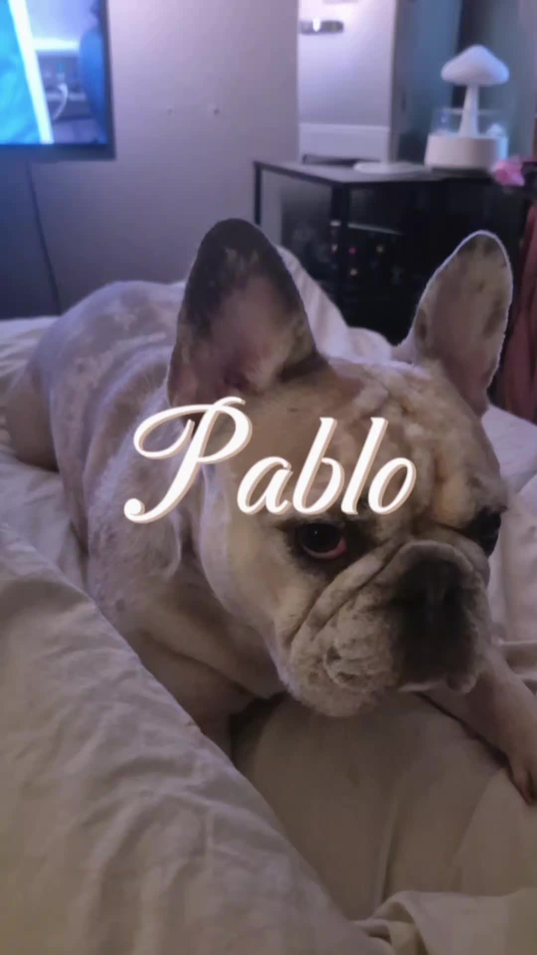 @🦄⃤𝓟𝓲𝓯𝓯 𝓪𝓷𝓭 𝓹𝓾𝓹𝓼