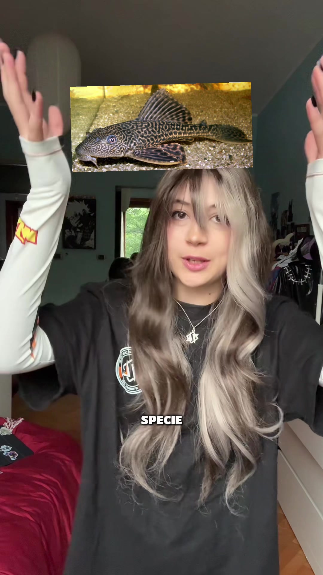 @EnderGirl404