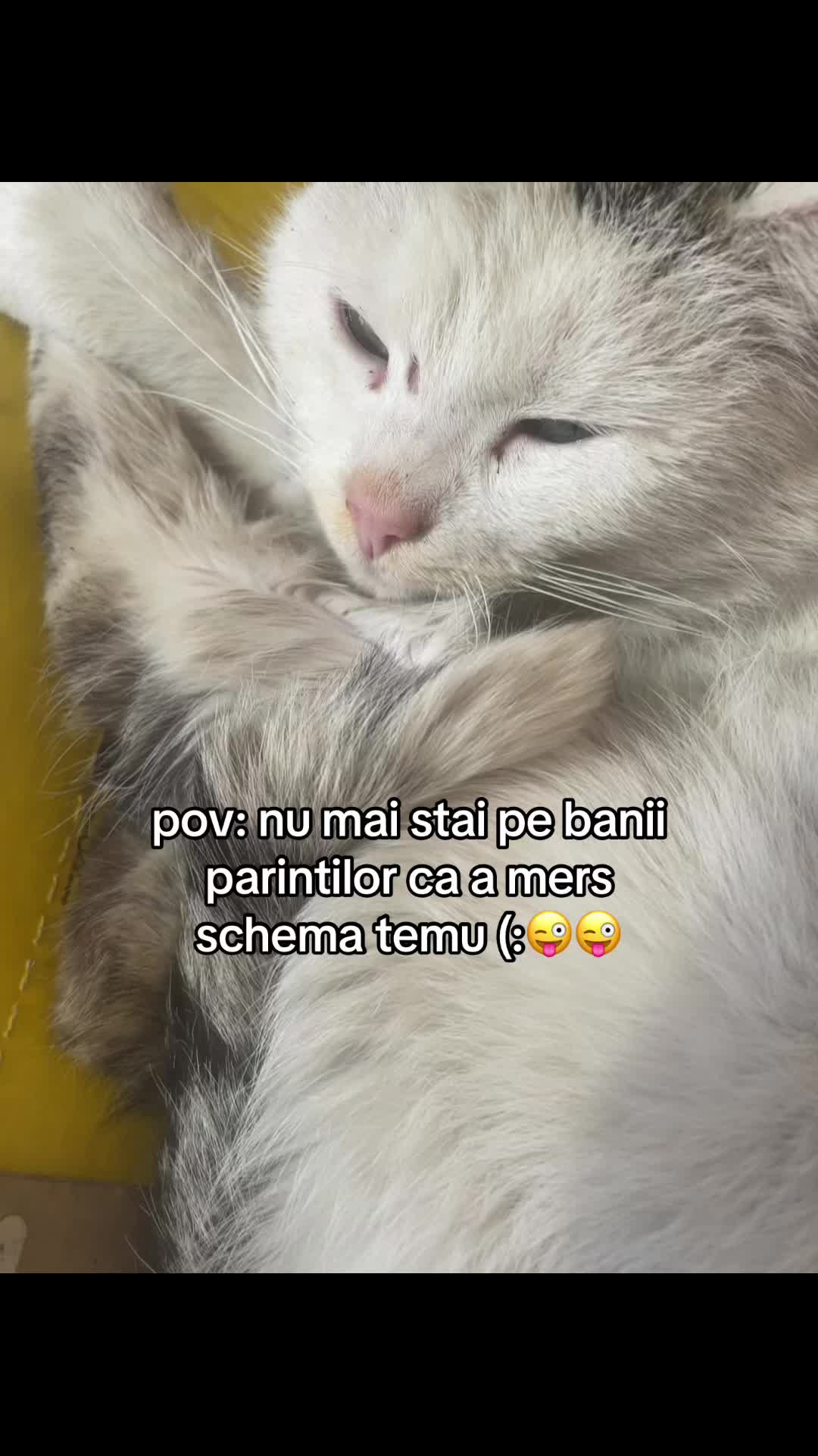 @🧛🏻