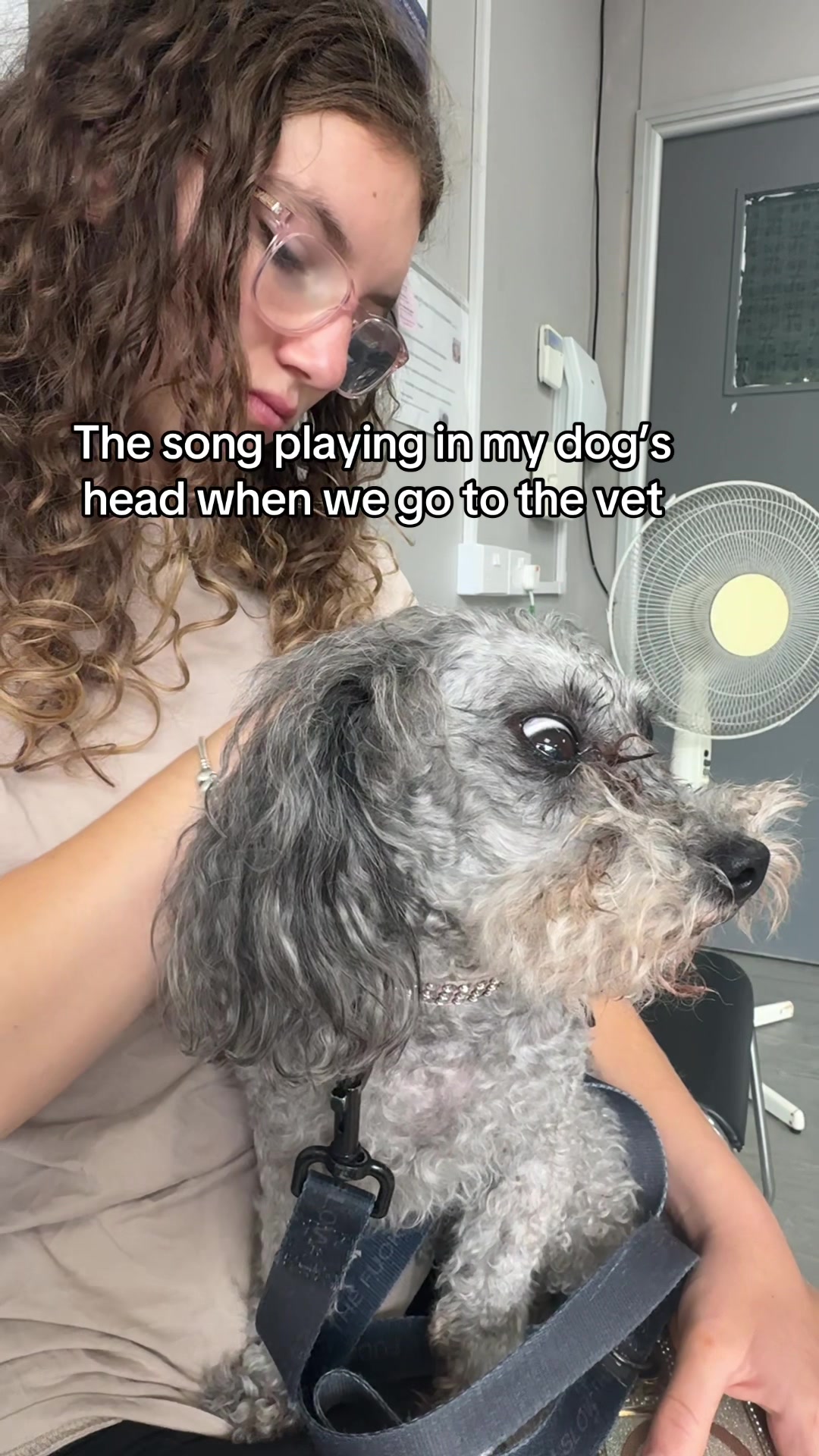 @coco❤️&zwj;🩹and💇&zwj;♀️burt.the.burn
