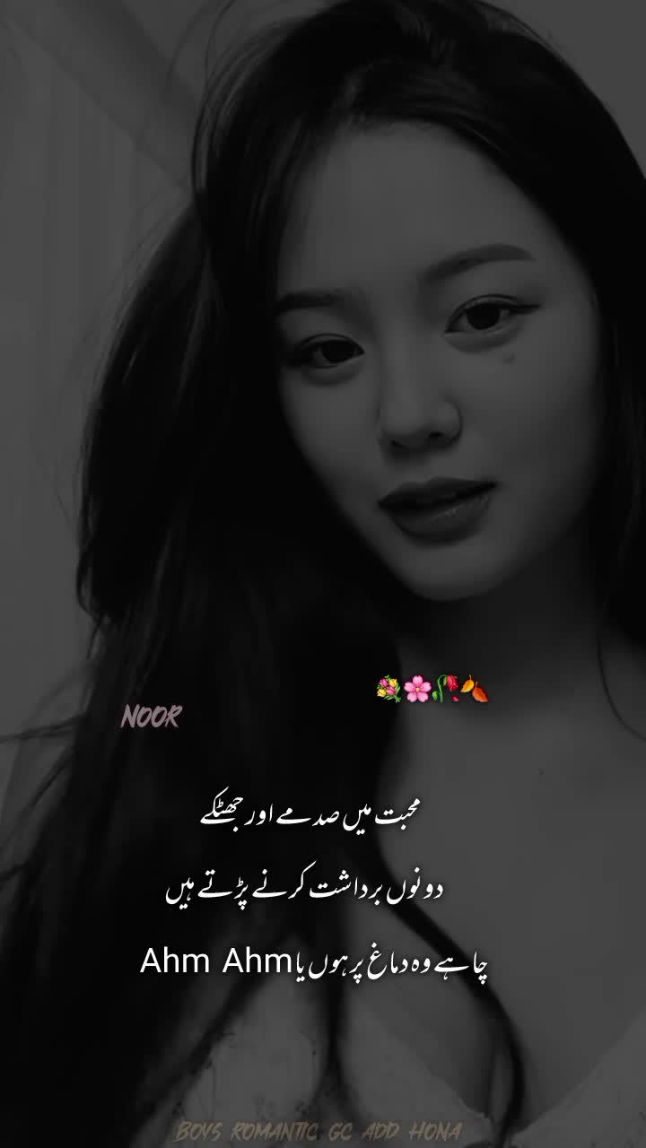 @NOOR 𔘓 / 🫥