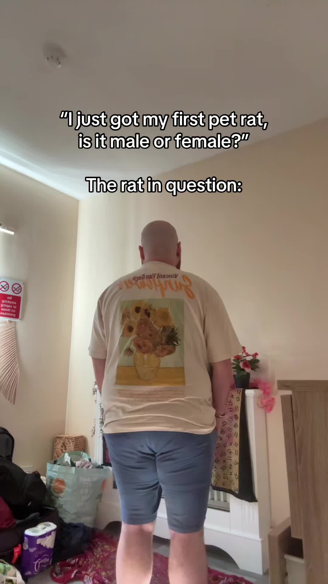 @沼兔☯️