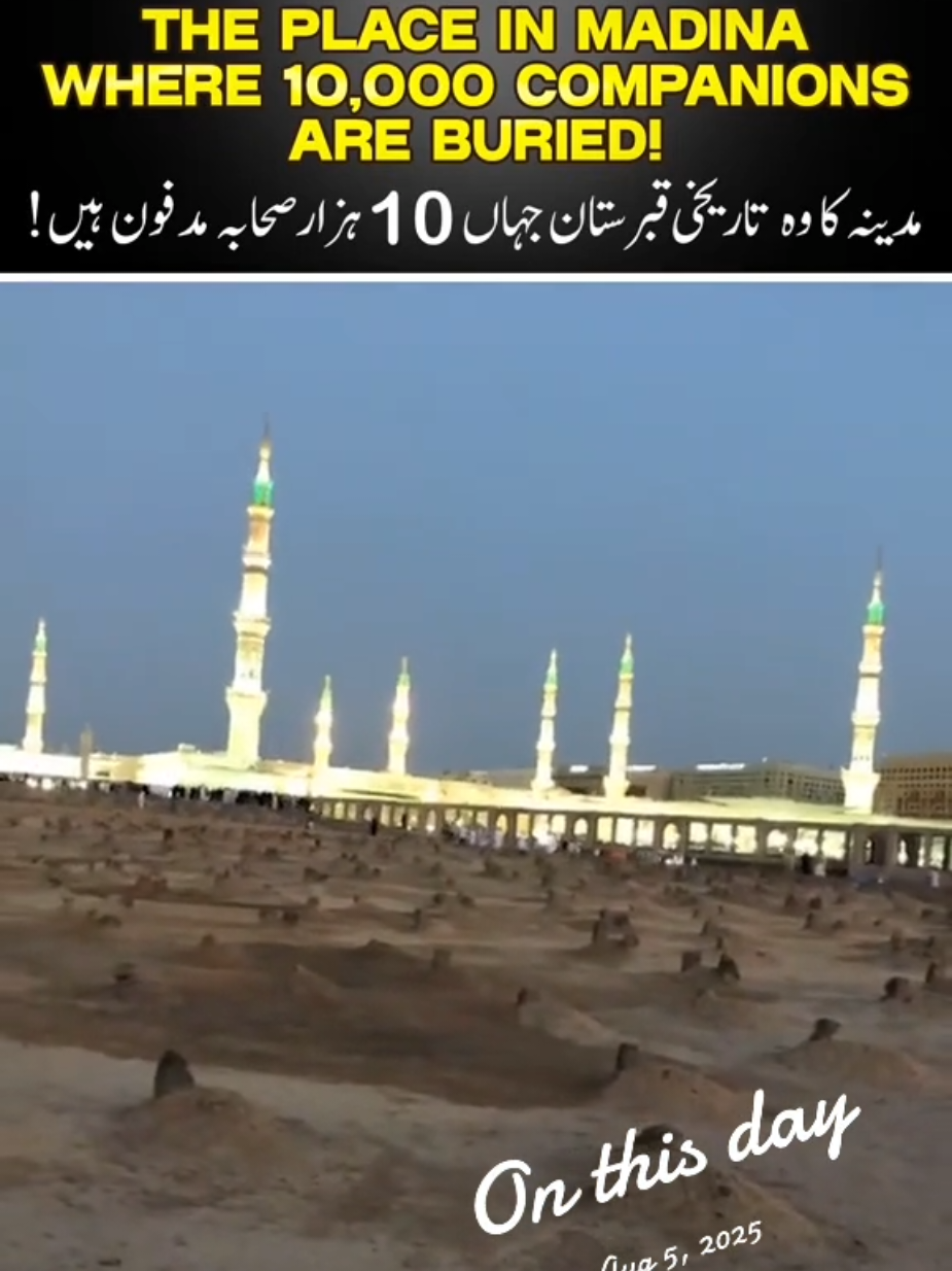 @Mufti Abdul Wahab