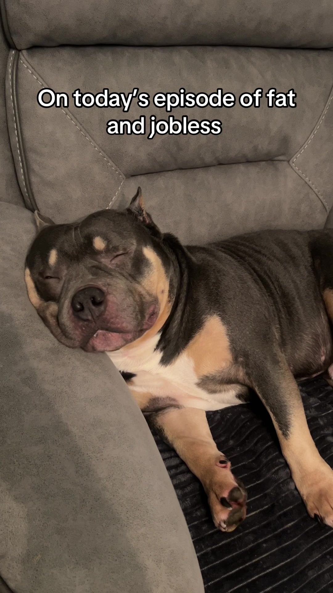 @Kt