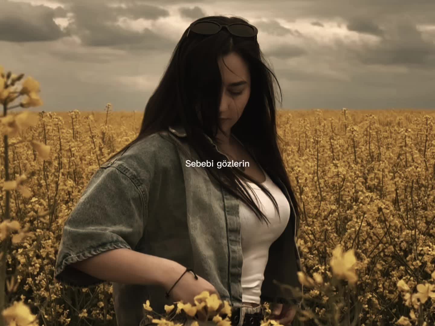 @Sibel Ali