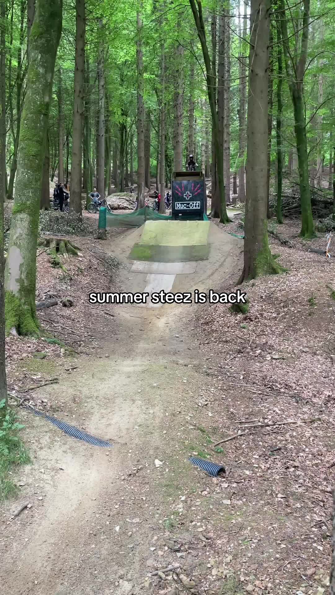 @tobyy🌲