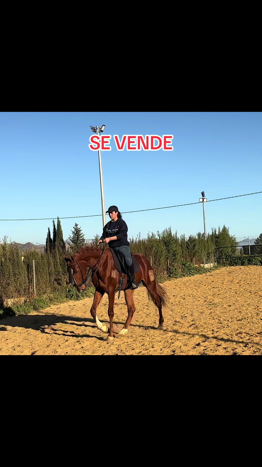 @Ana