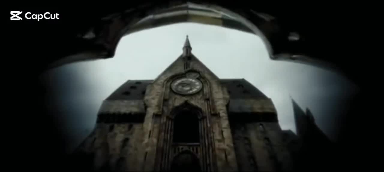 @harrypotterfan8507