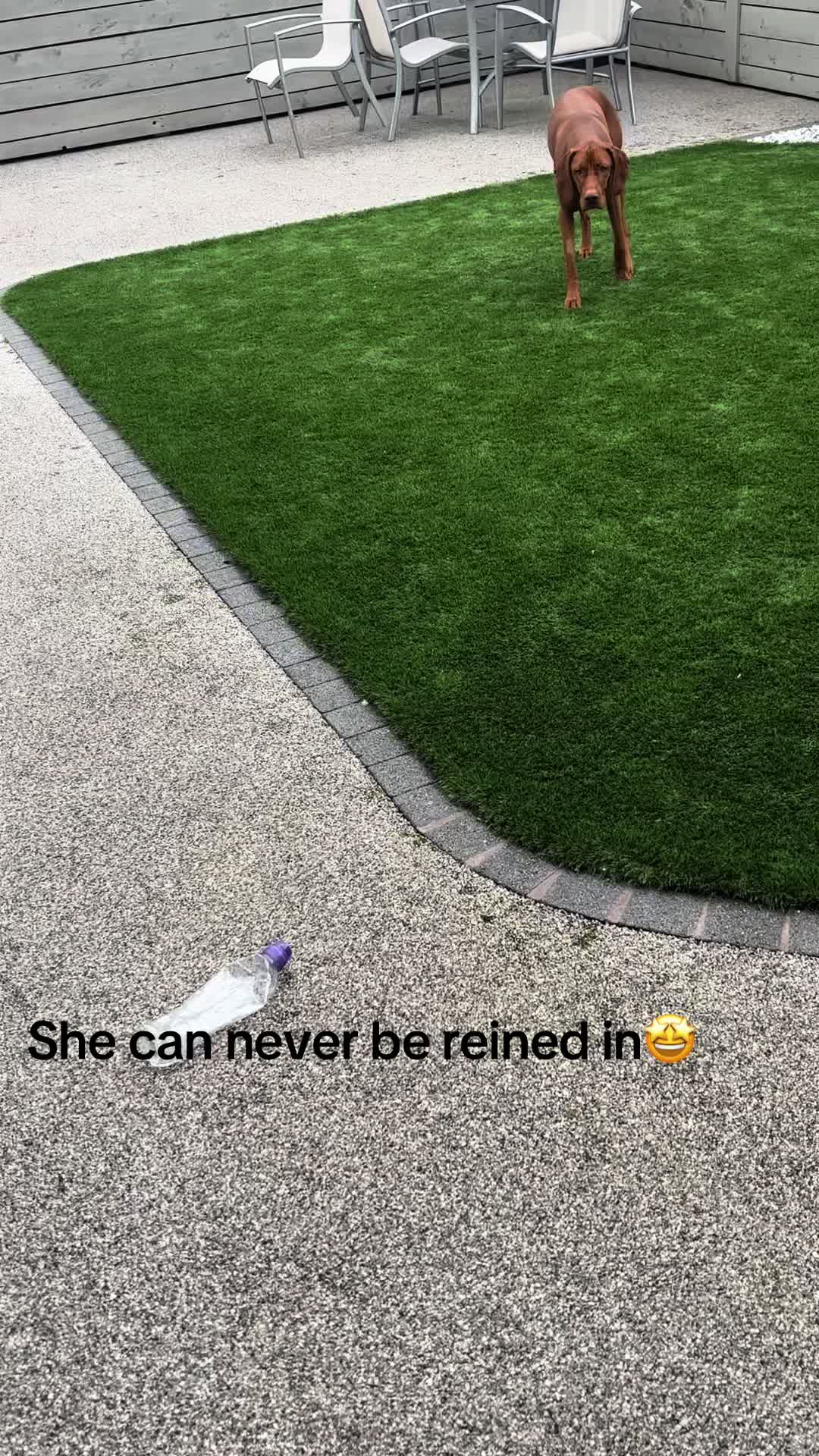 @LittleMissIndie