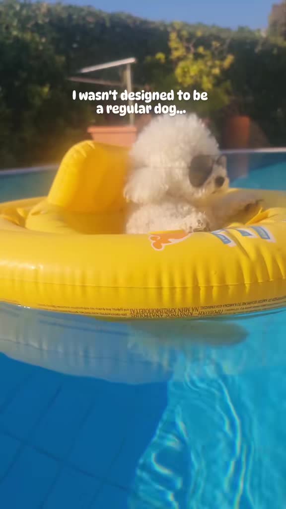 @Luna