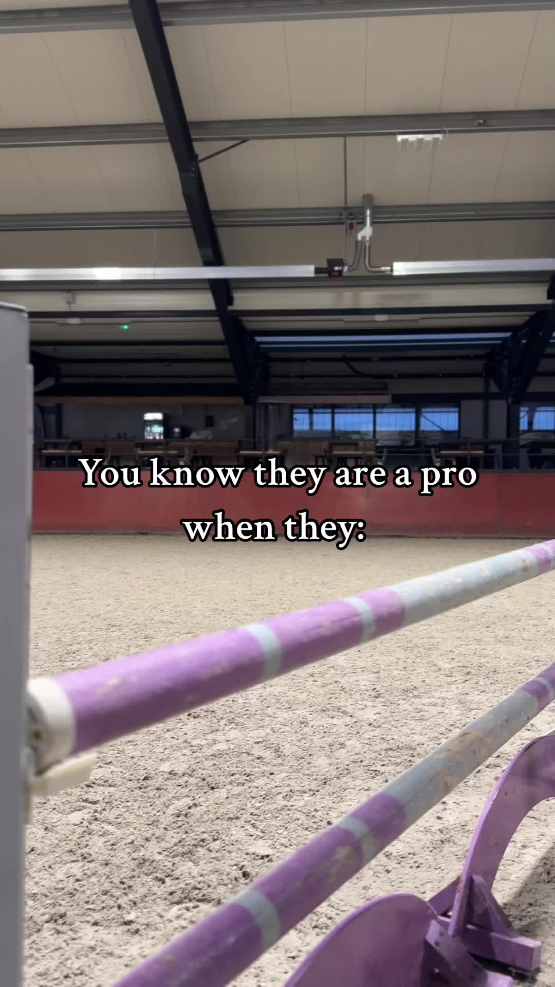 @Dailiz_horses🐴
