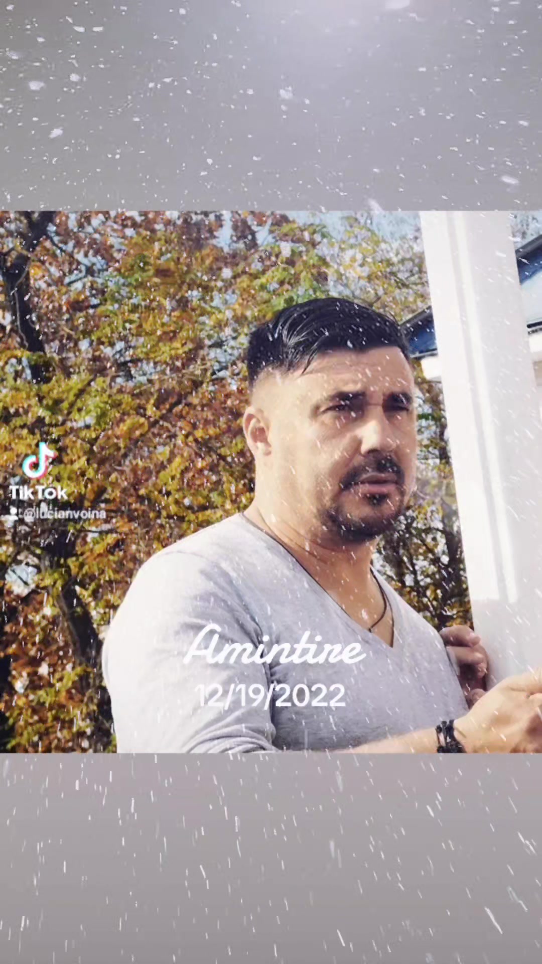 @Lucian Voina