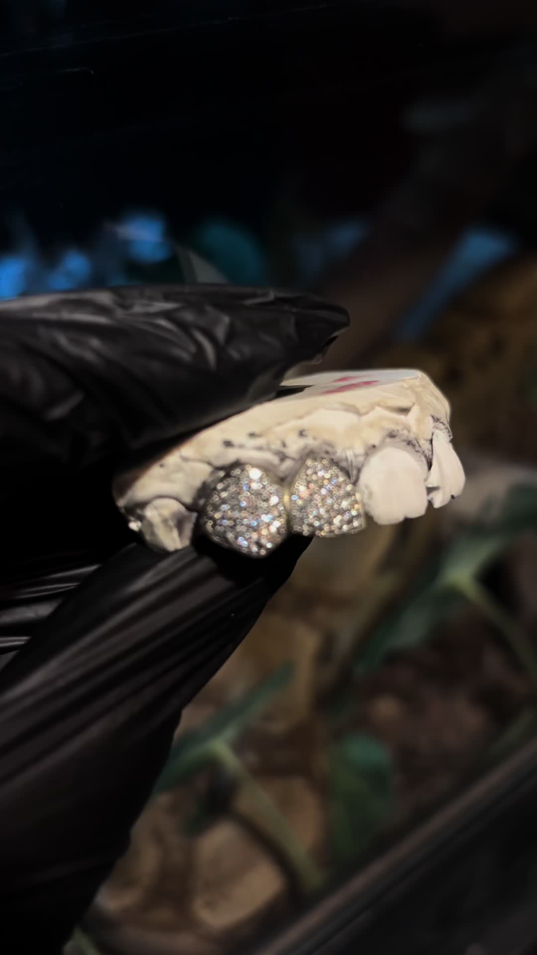 @sonderwrld 💎🦷
