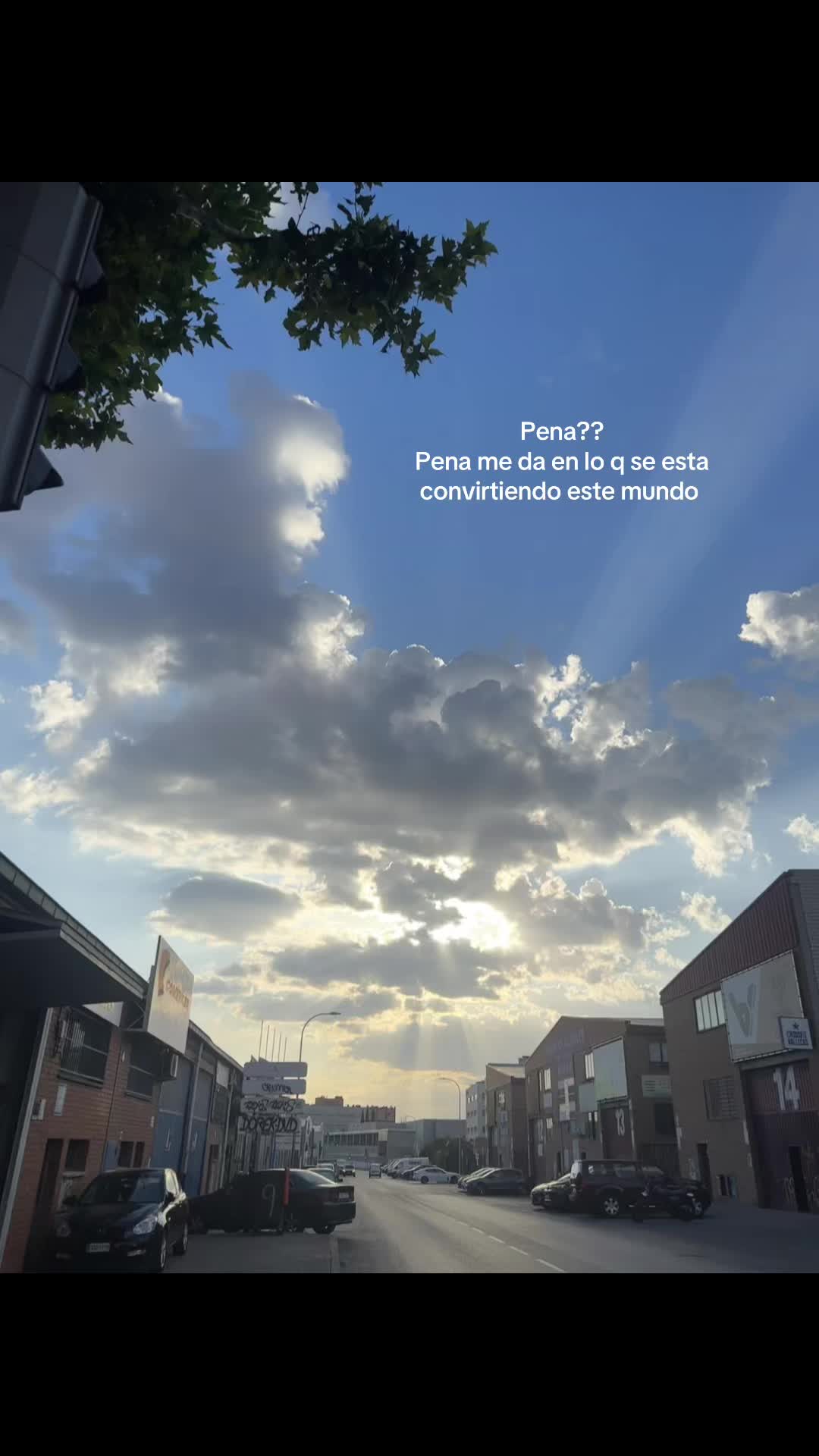 @Avrillantador🦂