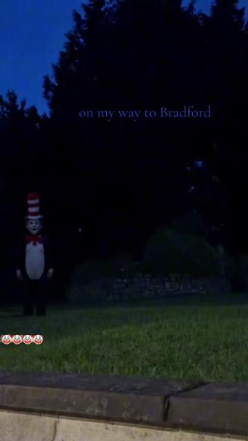 @THE REAL CAT IN THE HAT
