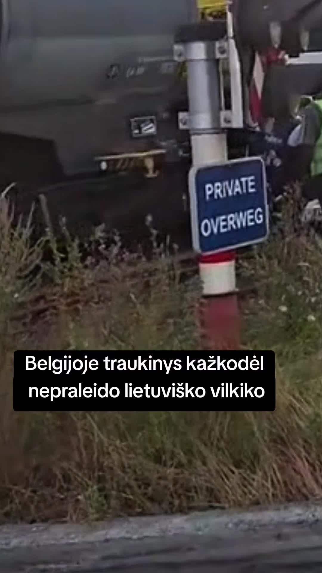 @TV 33