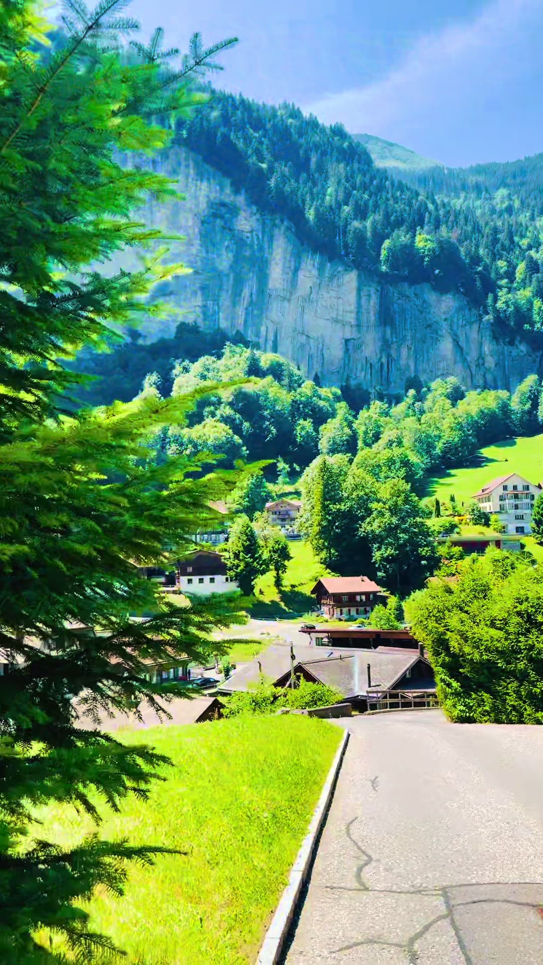 @Swiss_Vibe 🇨🇭