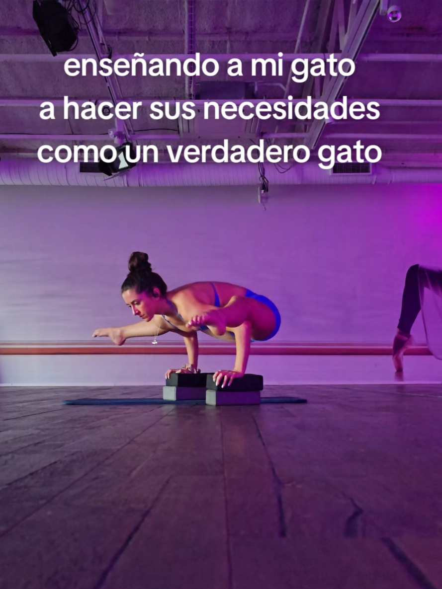 @lalusifer