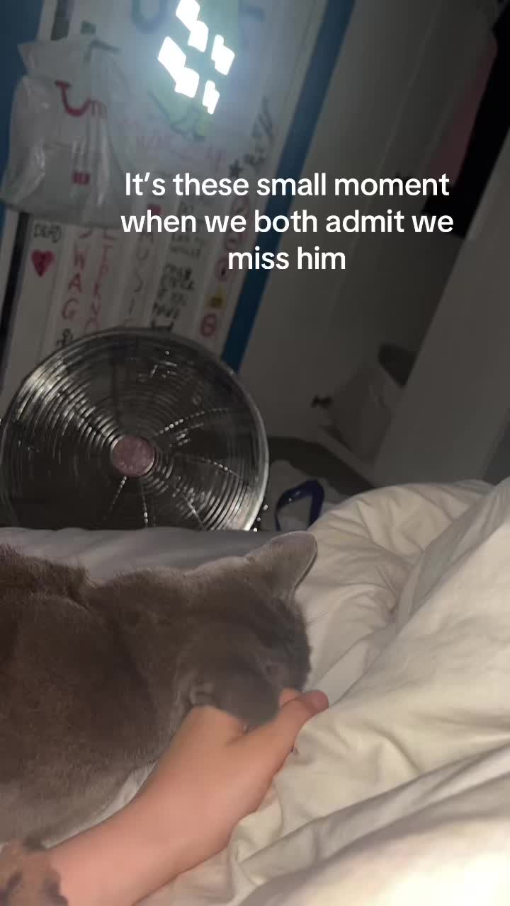 @Lexi๐ค๐๐๐