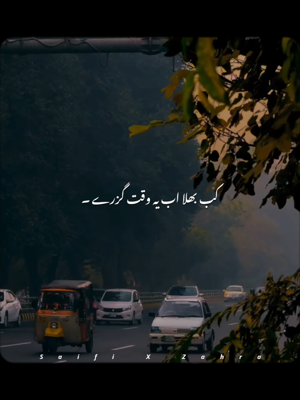 @𝙎𝙖𝙞𝙛𝙞 𝙭 𝘼𝙚𝙨𝙩𝙞𝙘🎧