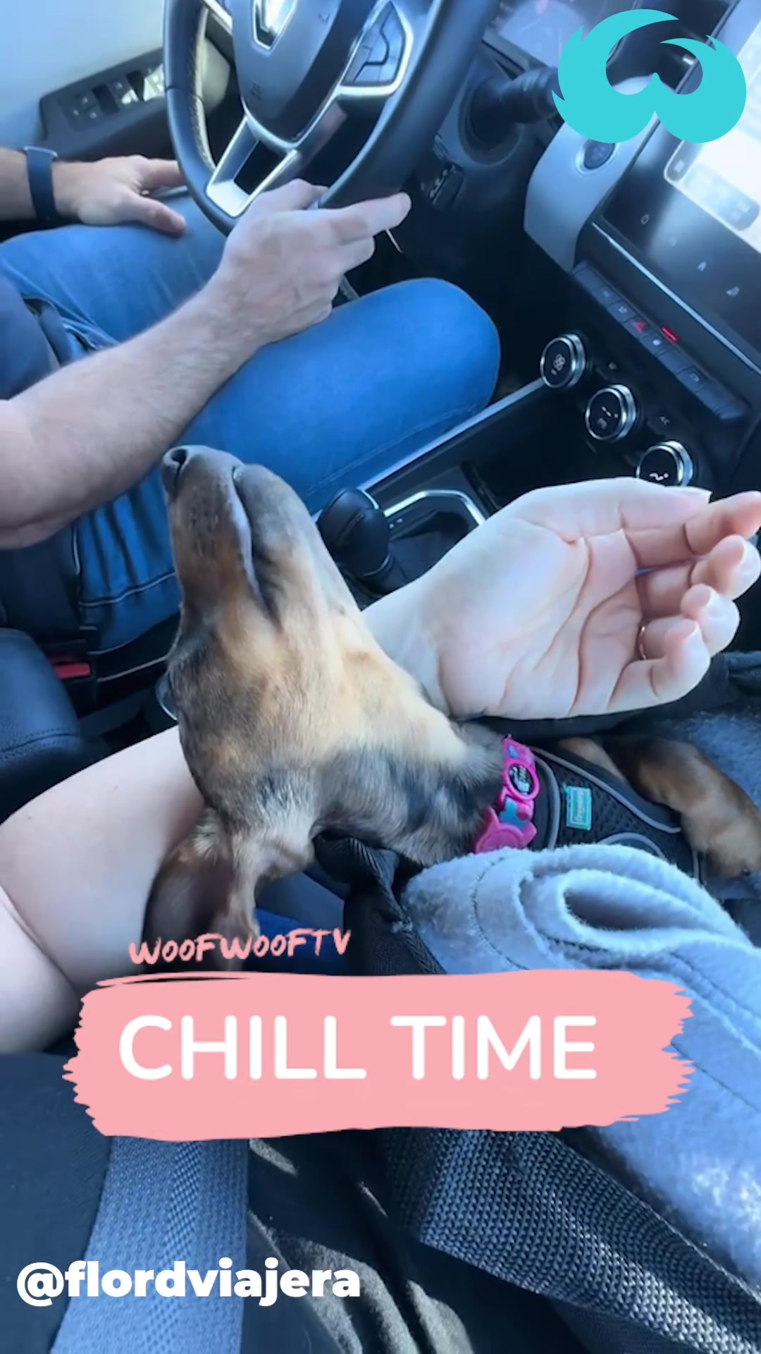 @WoofWoofTV