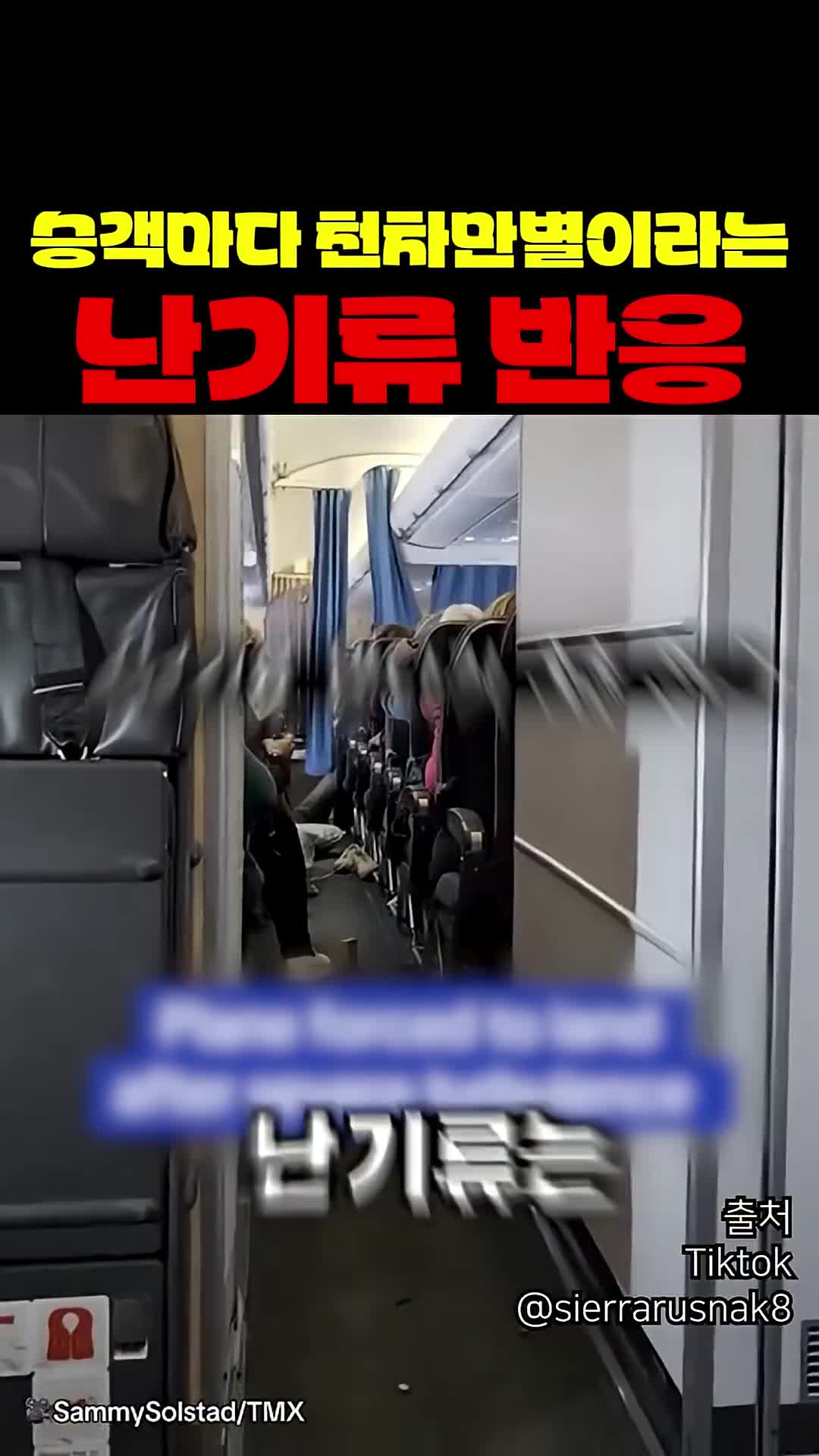 @짱아까미