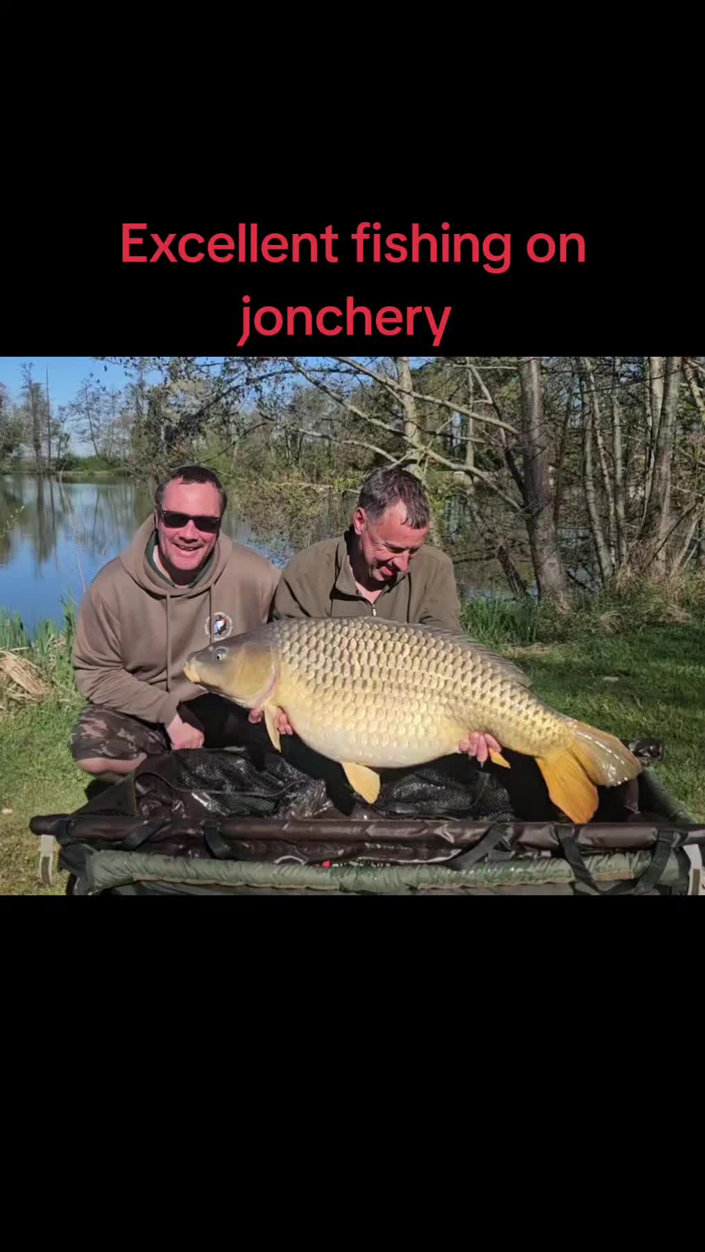@scaley waters