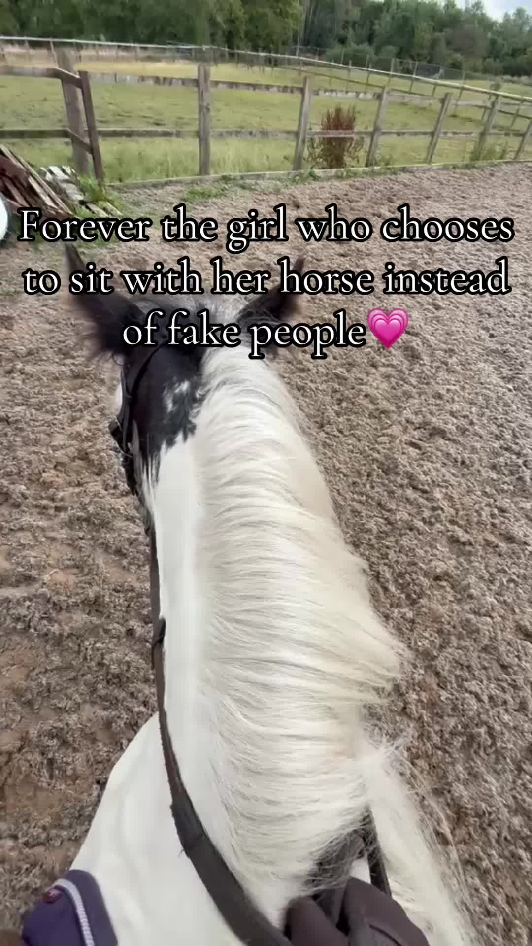 @Emilyy🐎🐴💗
