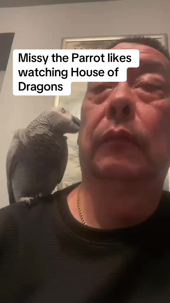 @Norman and Missy the Parrot