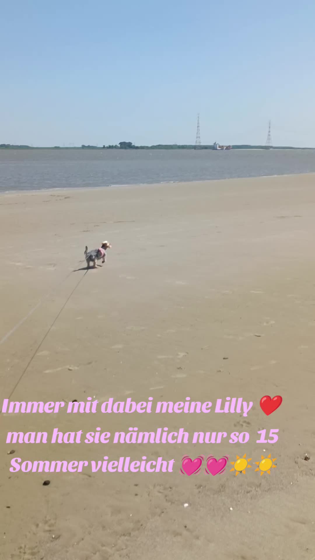 @Lillypie22