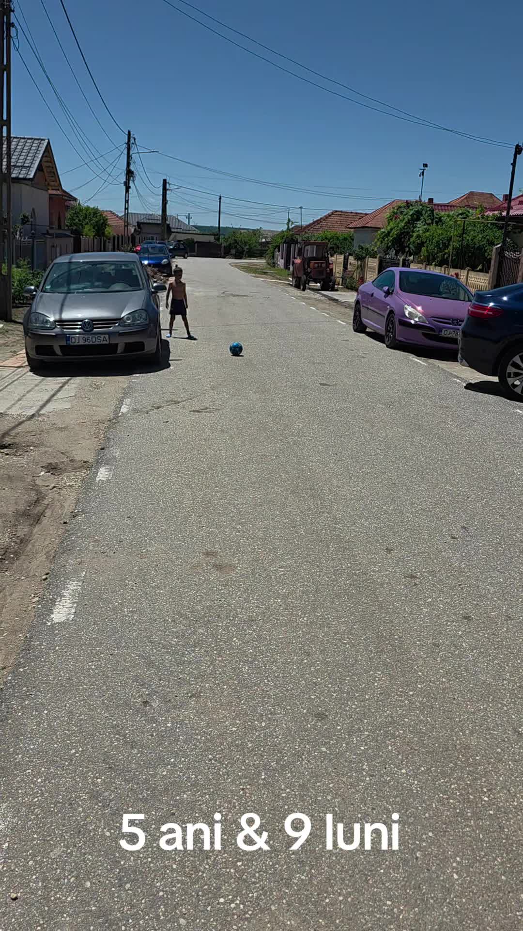 @Zian Leuţul Sudului