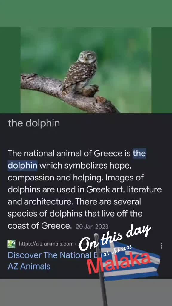 @🇬🇷🇮🇪ZeroStealth🇬🇧