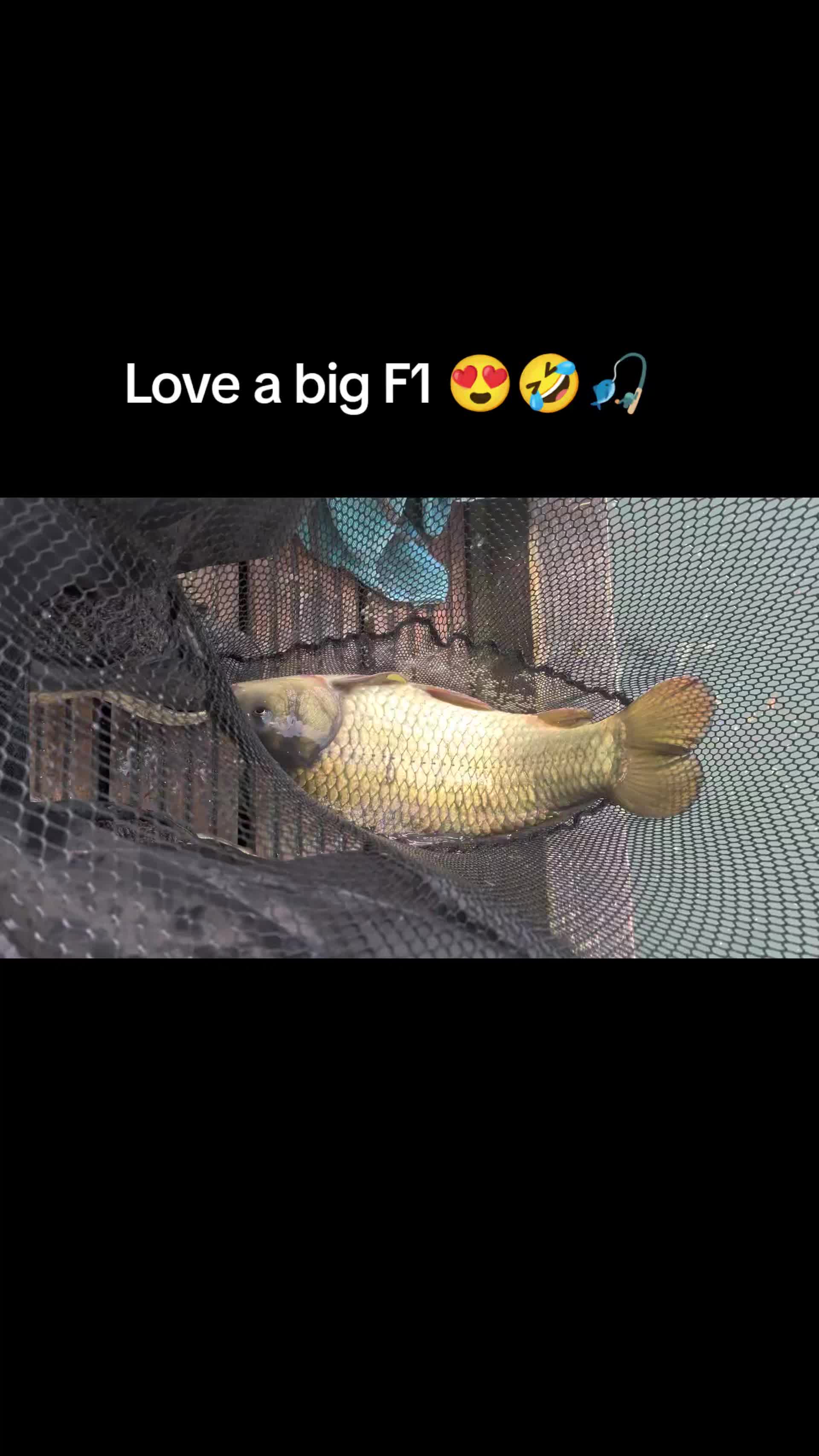@dad and lad fishing 🎣 👌