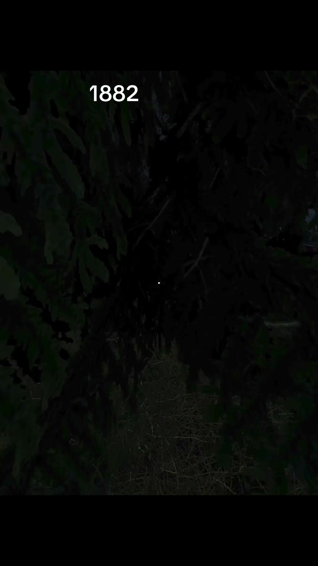 @carlos_dayz