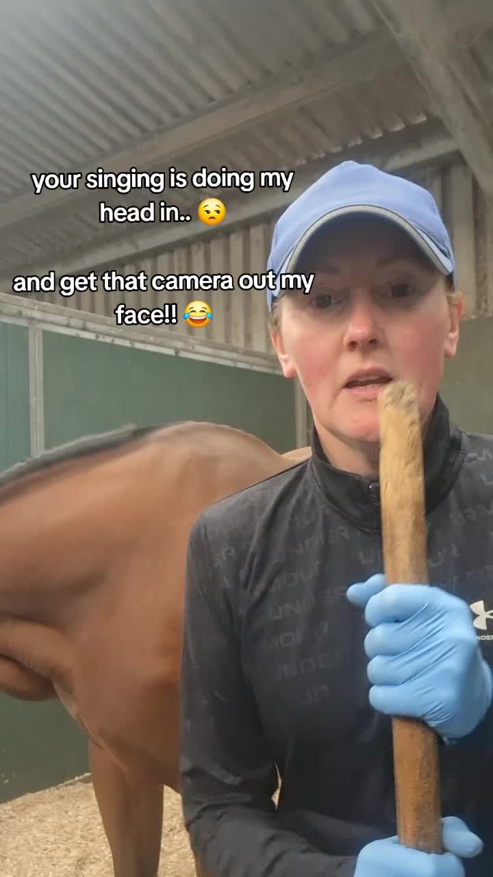 @Life with Suni D 🐴