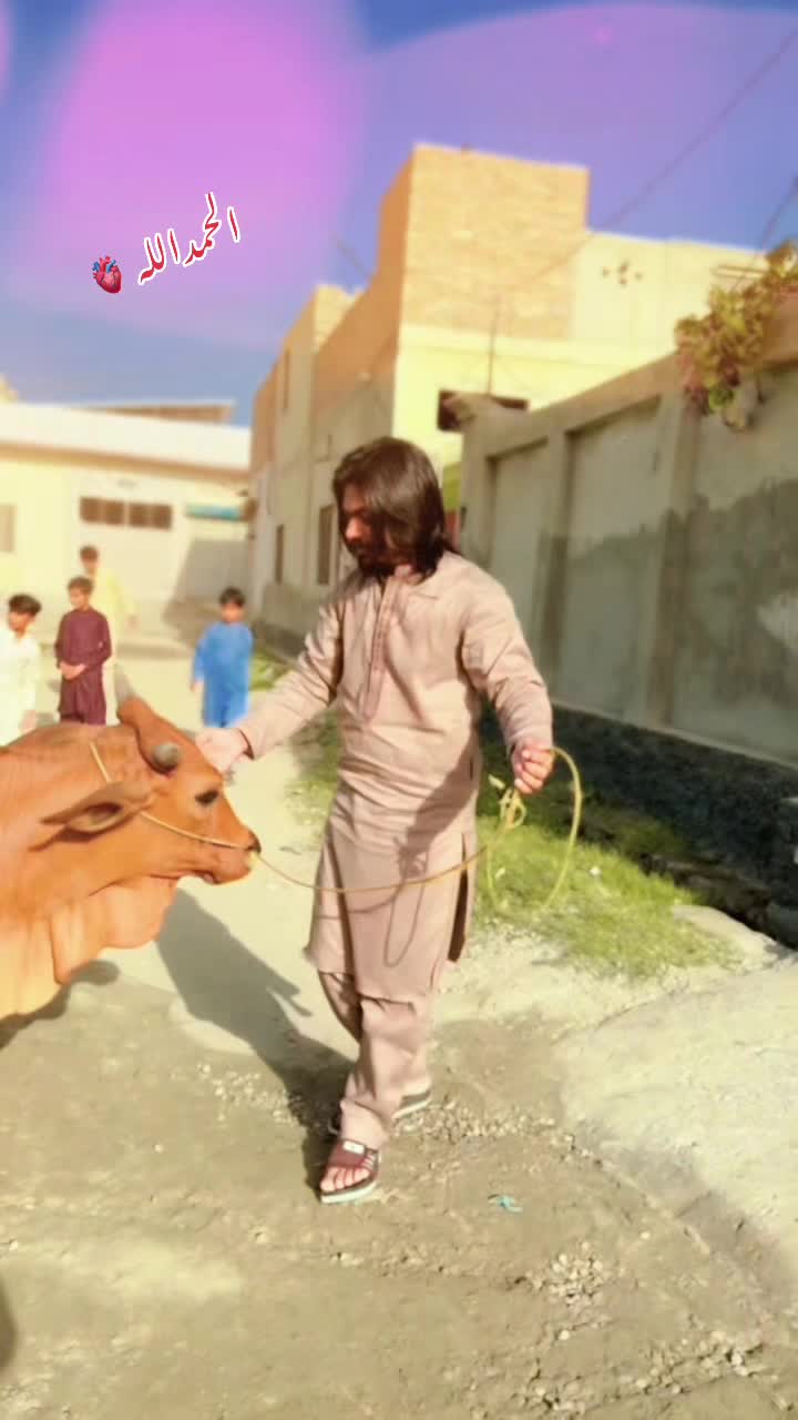 @💫SONA ⚡️RAJPUT✨