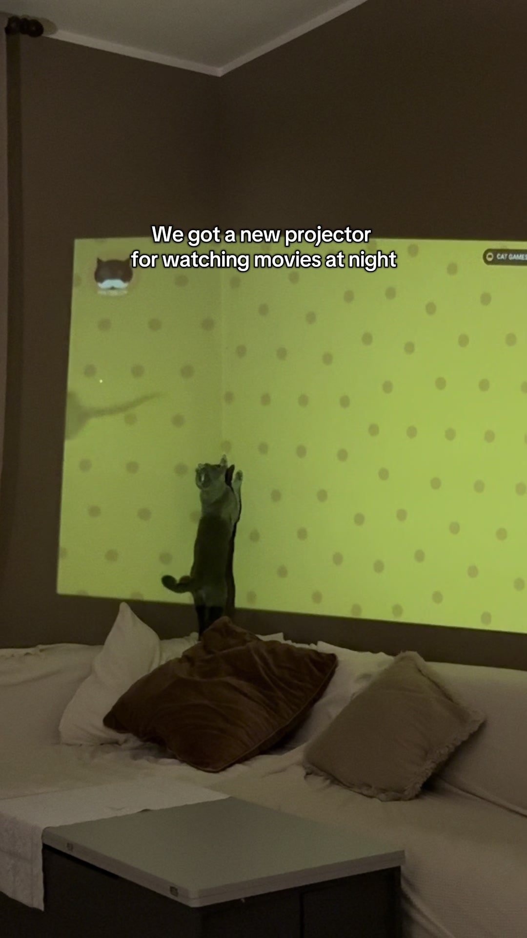 @Toby The Kitten