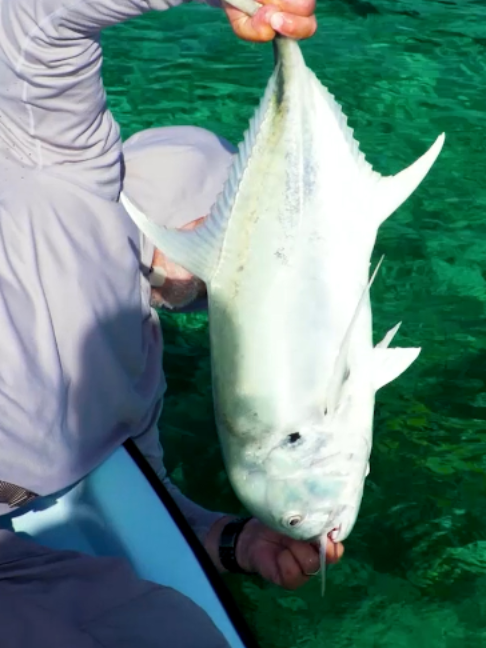 @Fishing TV