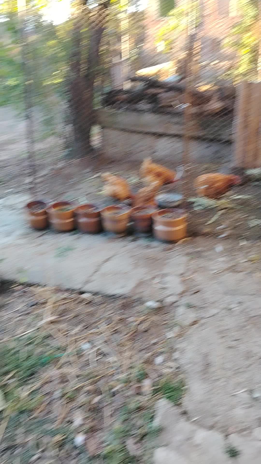 @Katq Pensheva