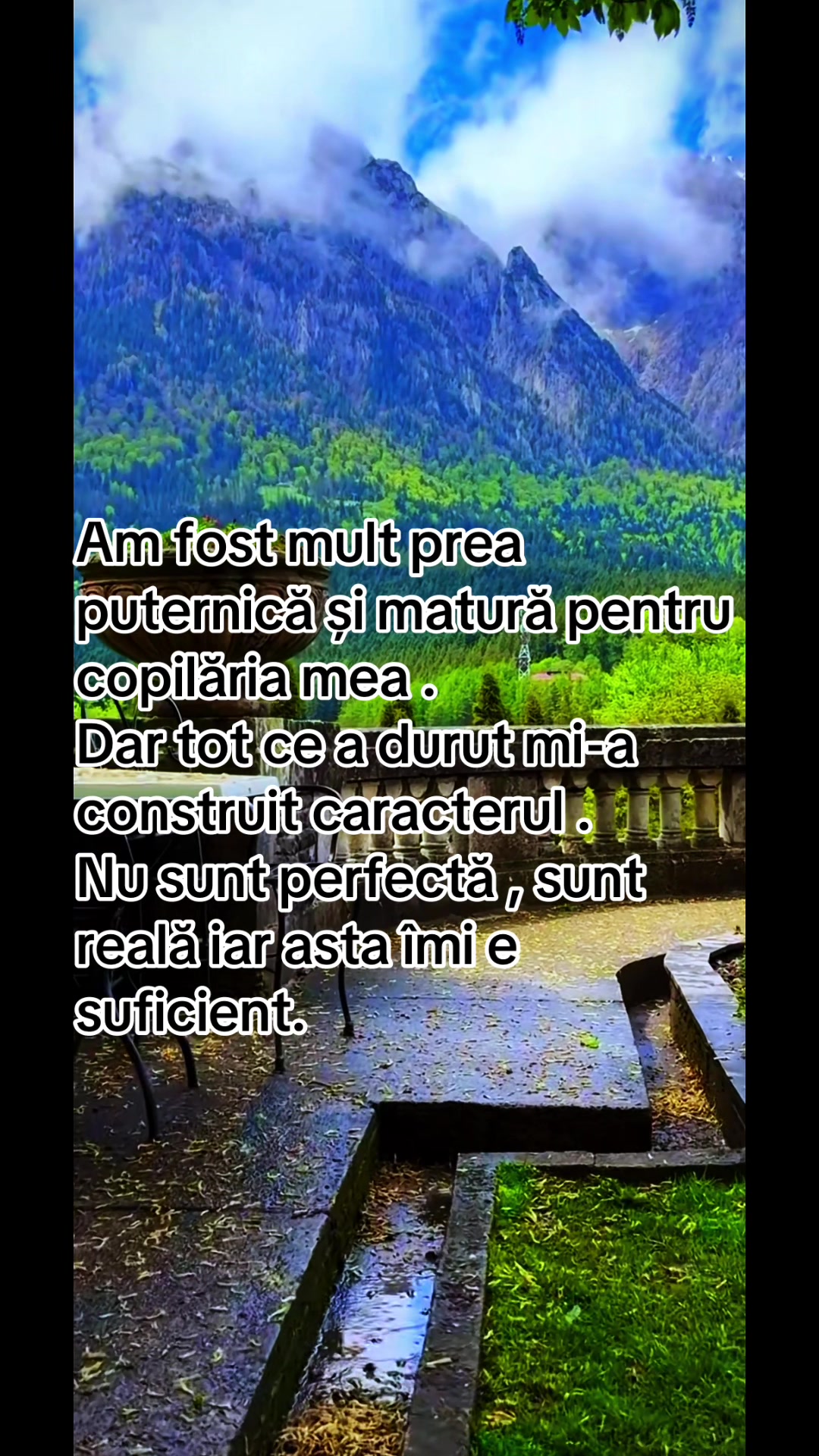 @mellimel.1