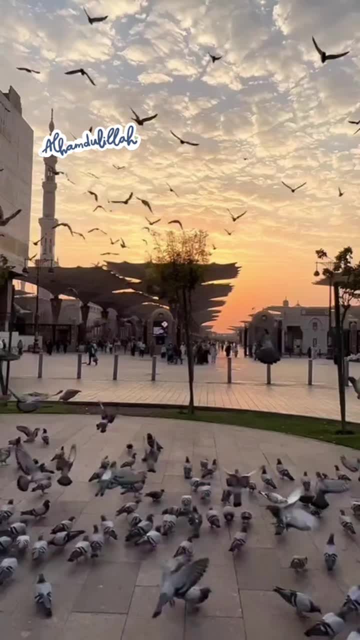@Arti93_Tropoj