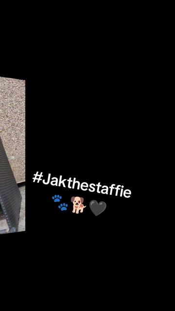 @Littledawggoffical 🇬🇧