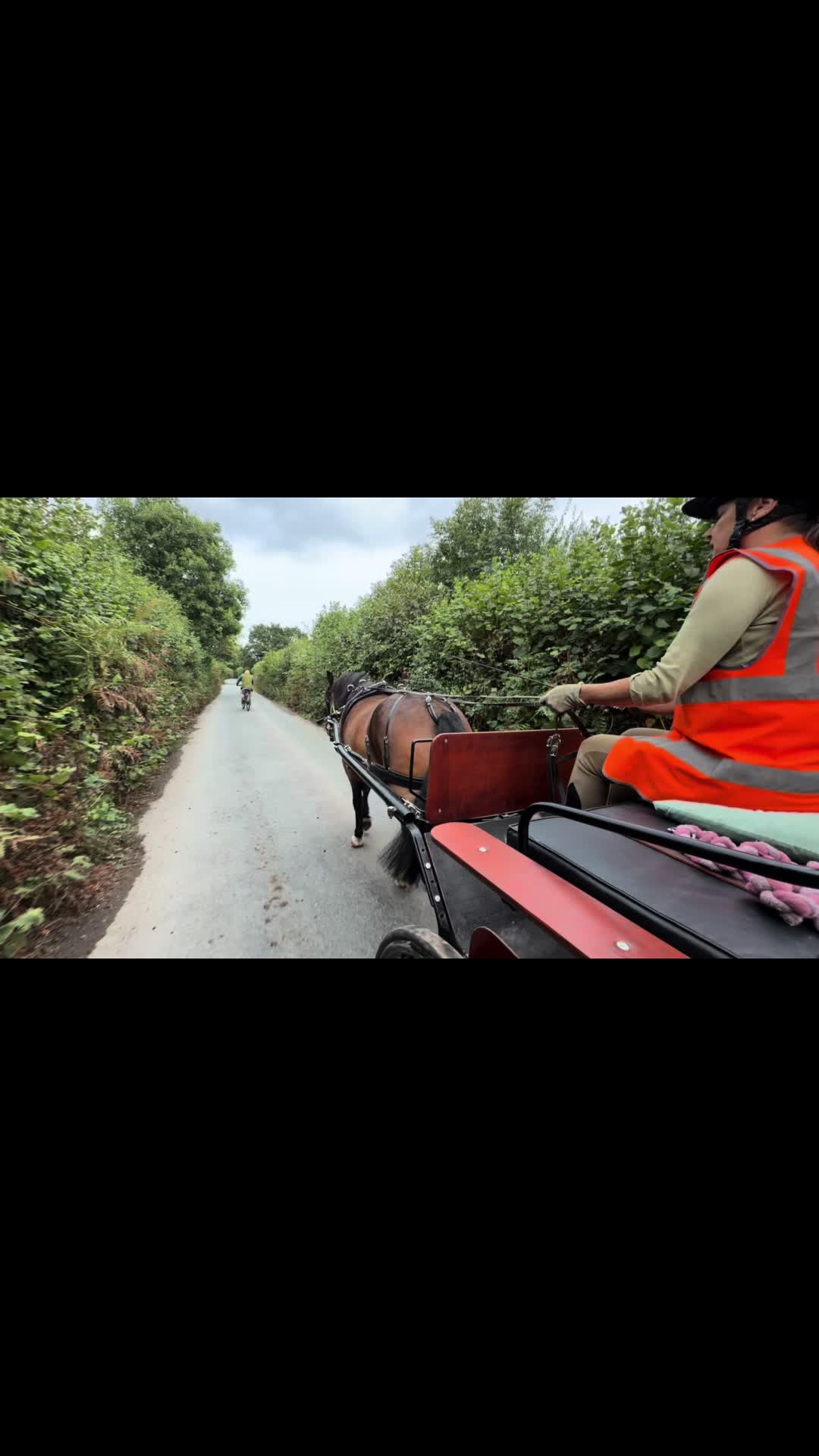 @Dartmoor Carriages