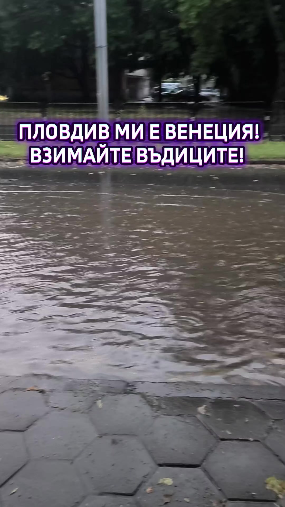 @адвокат Ваня Симеонова