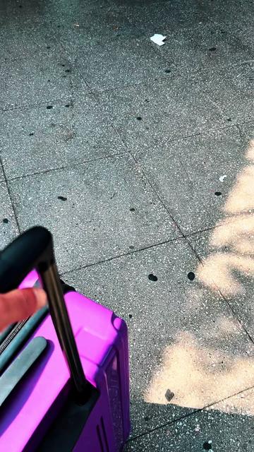 @purpletravels