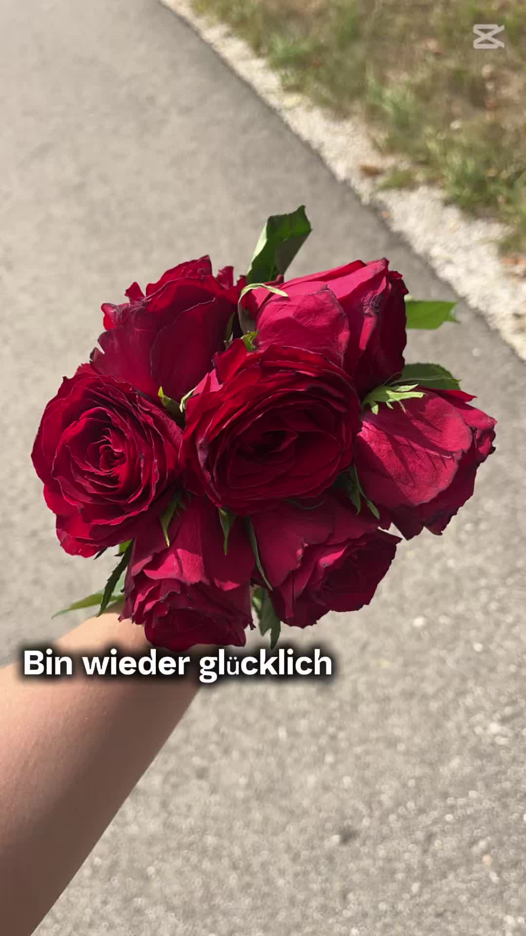 @Seineprinzessin👑💍❤️